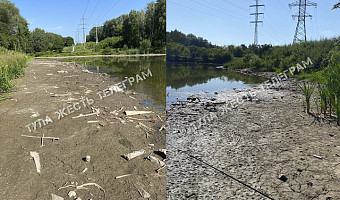 Жители Тулы жалуются на состояние пруда в Рогожинском парке