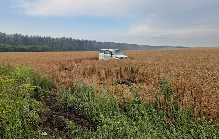 Водитель автомобиля Toyota вылетел в кювет в Воловском районе: пострадали четыре человека