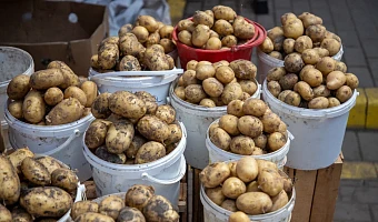 За неделю картофель в Тульской области подорожал на 12%