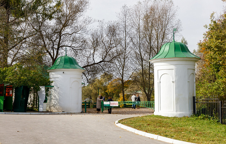 В Ясной поляне состоится экологическая акция по высадке деревьев