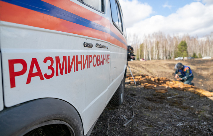 В Дубенском районе нашли и обезвредили гранату Ф-1 времен ВОВ