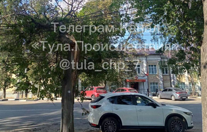 В Туле на улице Первомайской на провода упало дерево