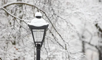 Дежурным по Туле 6 апреля назначен Денис Громов