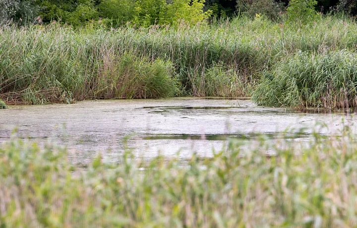 В Туле расчистят водохранилище на Воронке