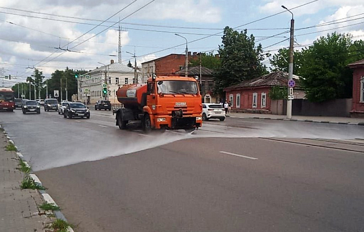 В Туле за последние сутки с улиц вывезли порядка десяти кубометров смета