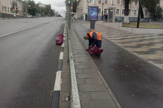 Тротуар 22. Дерево в пешеходной дорожке. Тула пешеходная улица. Шереметьевская улица сбор мусора. Улица Морозовская 22 в Туле