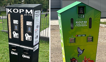 В Центральном парке в Туле появится автомат по продаже корма для белок и птиц