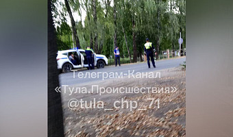 В Донском около школы сбили пешехода