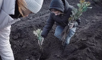 На Куликовом поле состоялась экологическая акция «Зеленая дубрава»