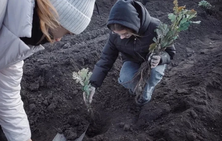 На Куликовом поле состоялась экологическая акция «Зеленая дубрава»