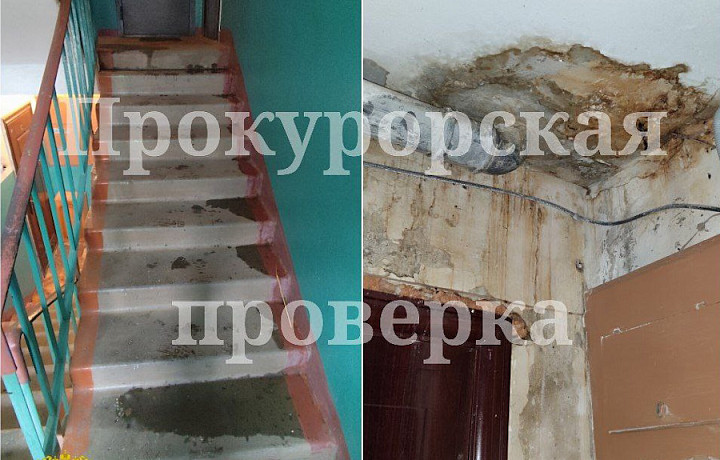В Богородицке начали проверку из-за залитой лестничной клетки в одном из домов В Богородицке начали проверку из-за залитой лестничной клетки в одном из домов
