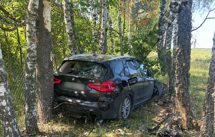 Водитель BMW попал в больницу, врезавшись в дерево в Арсеньевском районе