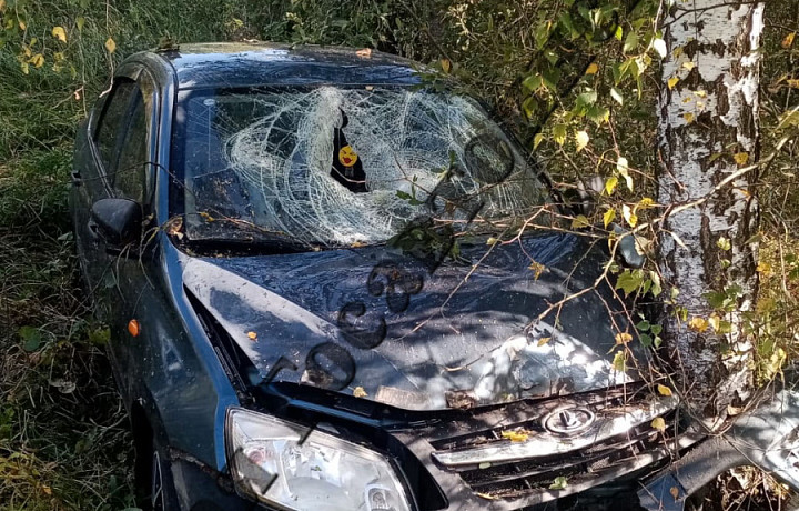 В Ясногорском районе девушка на Lada Granta слетела в кювет и врезалась в дерево