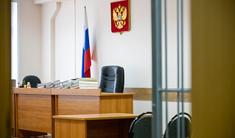 Алиментщица из Богородицка получила 25 суток ареста за уклонение от обязательных работ
