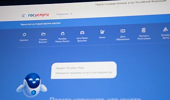В Тульской области в феврале жителям оказали более 12 тысяч электронных госуслуг