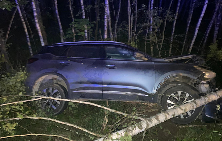 В Заокском районе кроссовер слетел в кювет: два человека попали в больницу