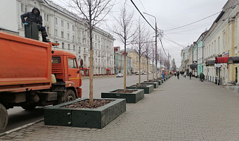 На проспекте Ленина в Туле установили защитные короба на модули с зелеными насаждениями