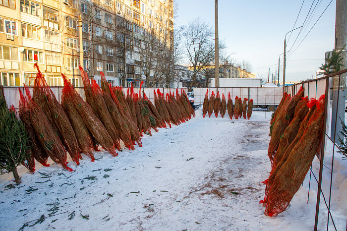 В Туле открылись 33 елочных базара - карта