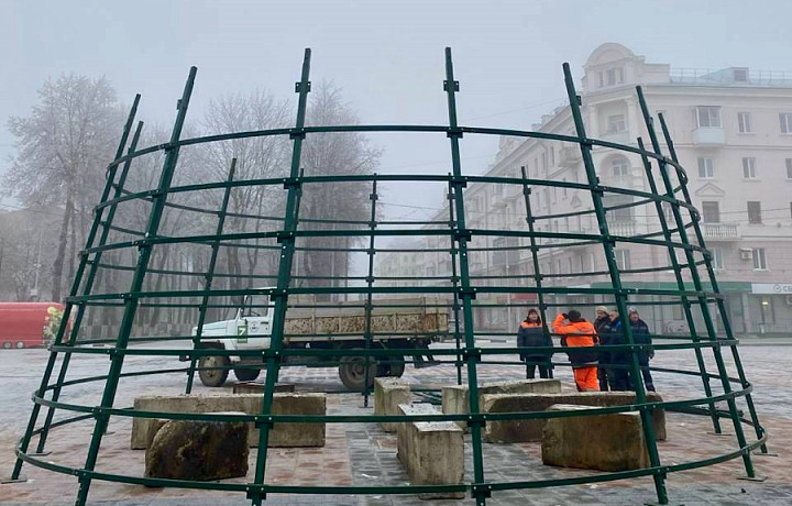 В Новомосковске началась установка новогодней елки