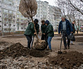 На Молодежном бульваре в Туле высадят 112 деревьев и около 150 кустарников