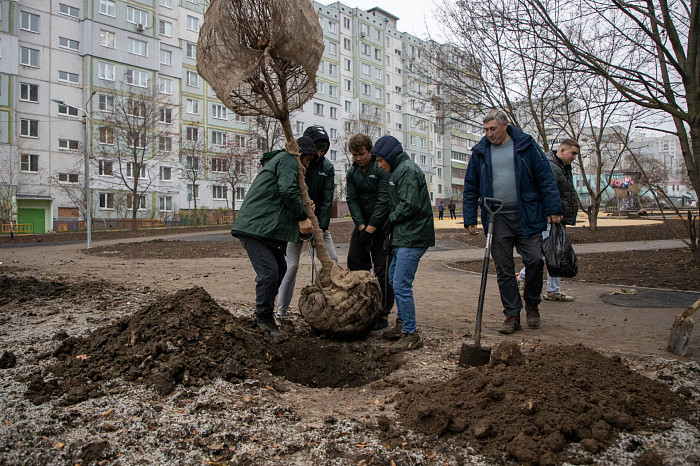 На Молодежном бульваре в Туле высадят 112 деревьев и около 150 кустарников