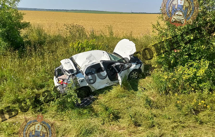 В Куркинском районе Renault Logan врезался в Газель: пострадала женщина