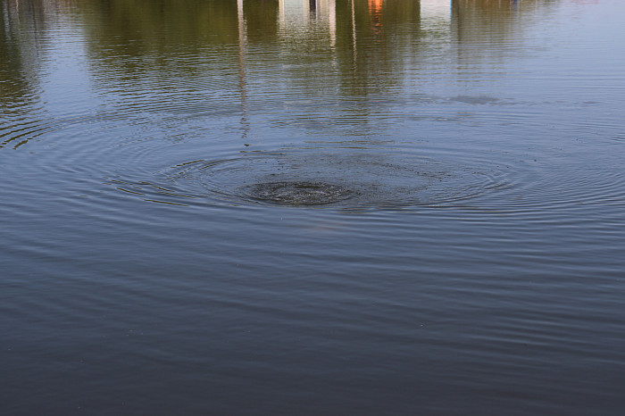 Водолазы обследовали дно центрального пруда в парке имени Белоусова в Туле