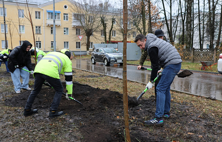 В Новомосковске высадили 20 сортовых остролистных кленов