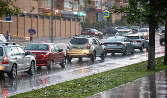 Дожди, грозы и до +21 градуса тепла: прогноз погоды в Туле на 8 августа