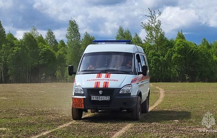 На улице Рязанской в Туле спасатели обезвредили мину времен ВОВ