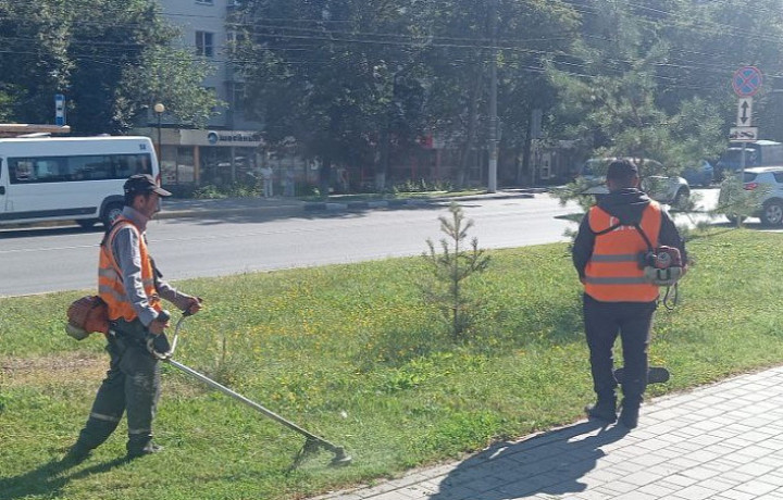 За прошедшие выходные с улиц Тулы вывезли 28 кубометров смета