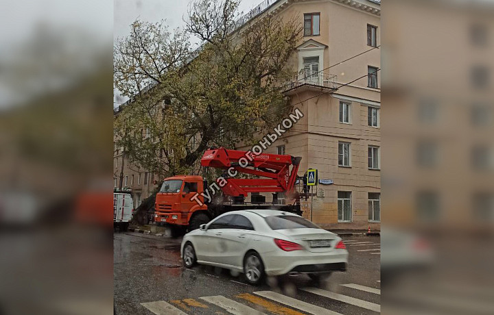 Дерево упало на дом по улице Болдина в Туле из-за сильного ветра