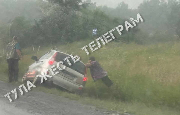 Пользователей соцсетей удивило фото из Тулы, на котором человек держит машину, чтобы та не перевернулась в кювет