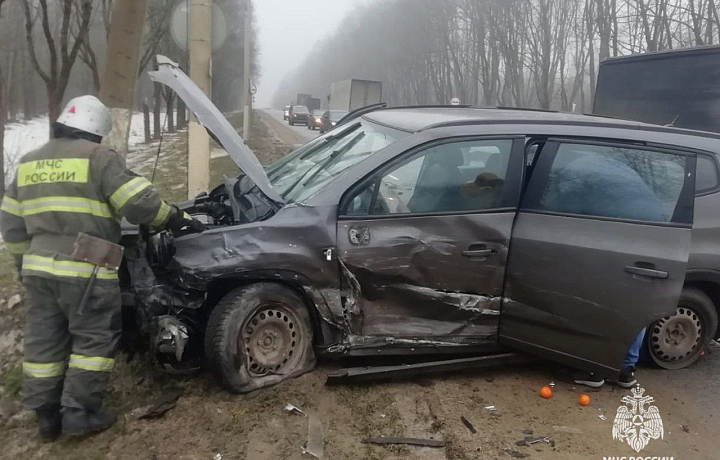 На проспекте Ленина в Туле произошло возгорание автомобиля На проспекте Ленина в Туле произошло возгорание автомобиля