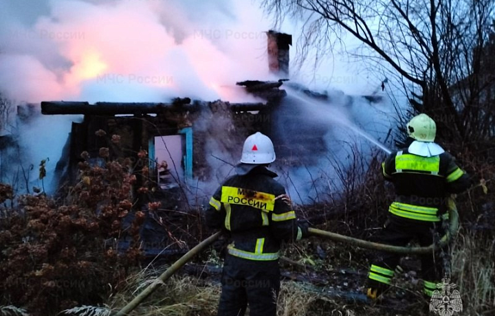 При пожаре в поселке Брусянский Узловского района погибла пенсионерка