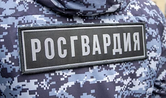 В Туле росгвардейцы и МЧС провели совместные пожарно-тактические учения