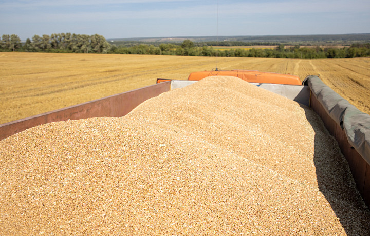 В Тульской области признаны недействительными декларации на 920 тонн зерна