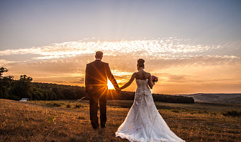 В мае в Тульской области поженились 489 пар