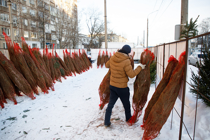 В Туле открылись 33 елочных базара - карта