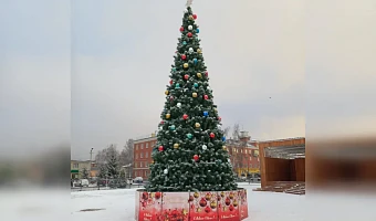 Праздник к нам приходит: на Центральной площади Алексина установили елку