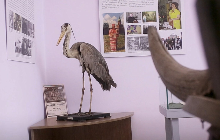 Только по особым случаям: в Тульском краеведческом музее показали уникальные экспонаты