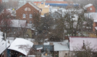 В Тульской области ожидается усиление ветра до 17 м/с