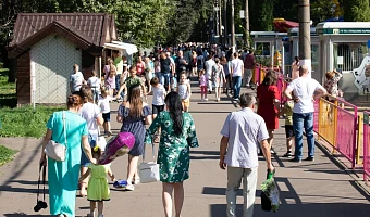 Стала известна численность населения районов Тульской области