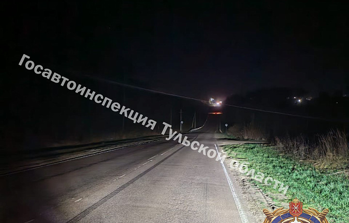 На трассе в Богородицком районе сбили пешехода На трассе в Богородицком районе сбили пешехода