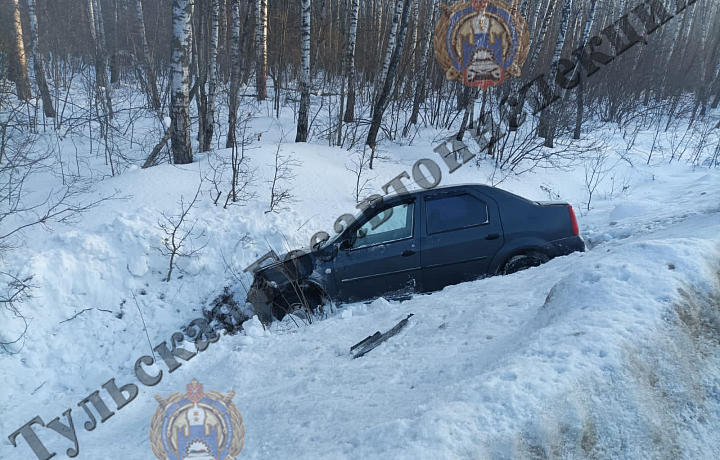 Водитель автомобиля, вылетевшего в кювет в Алексинском районе, попал в больницу