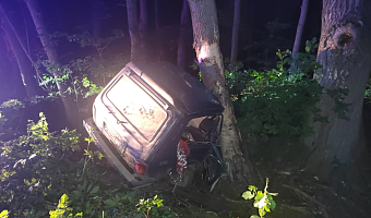 В Веневском районе водитель без прав влетел в дерево и погиб