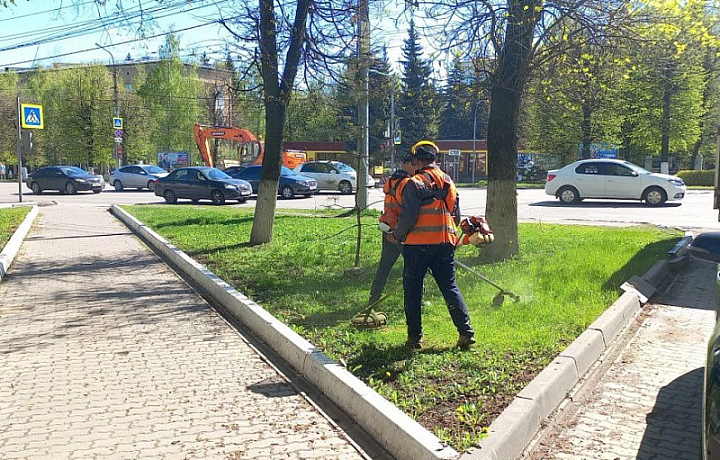 Более трехсот человек вышли на уборку Тулы 3 мая