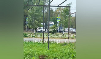 В Туле упавшее дерево перекрыло въезд на проспект Ленина с улицы Рязанской