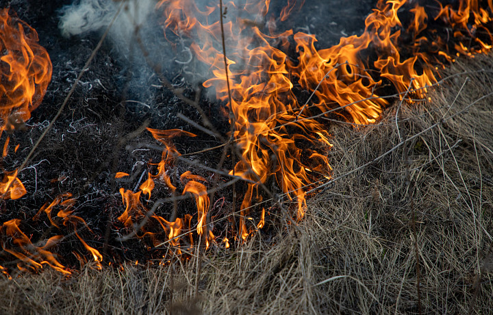 С 3 по 4 июля в Тульской области ожидается высокая степень пожароопасности