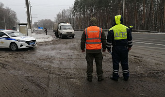 ﻿В этом году на дорогах Тульской области 308 раз сбивали животных